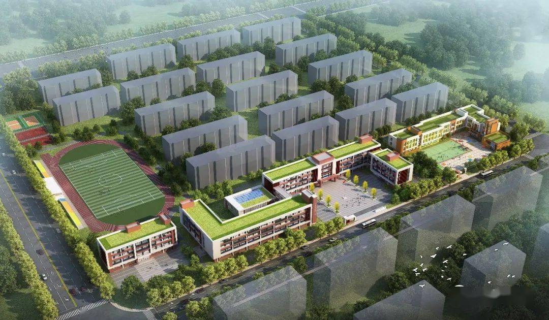 名单曝光 3 43亿 坊子区拟新建7所学校 幼儿园