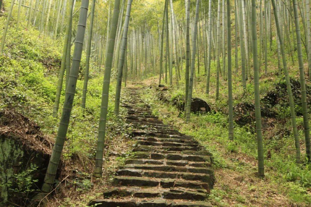 微改造 · 精提升 | 天字古道展新颜_历史