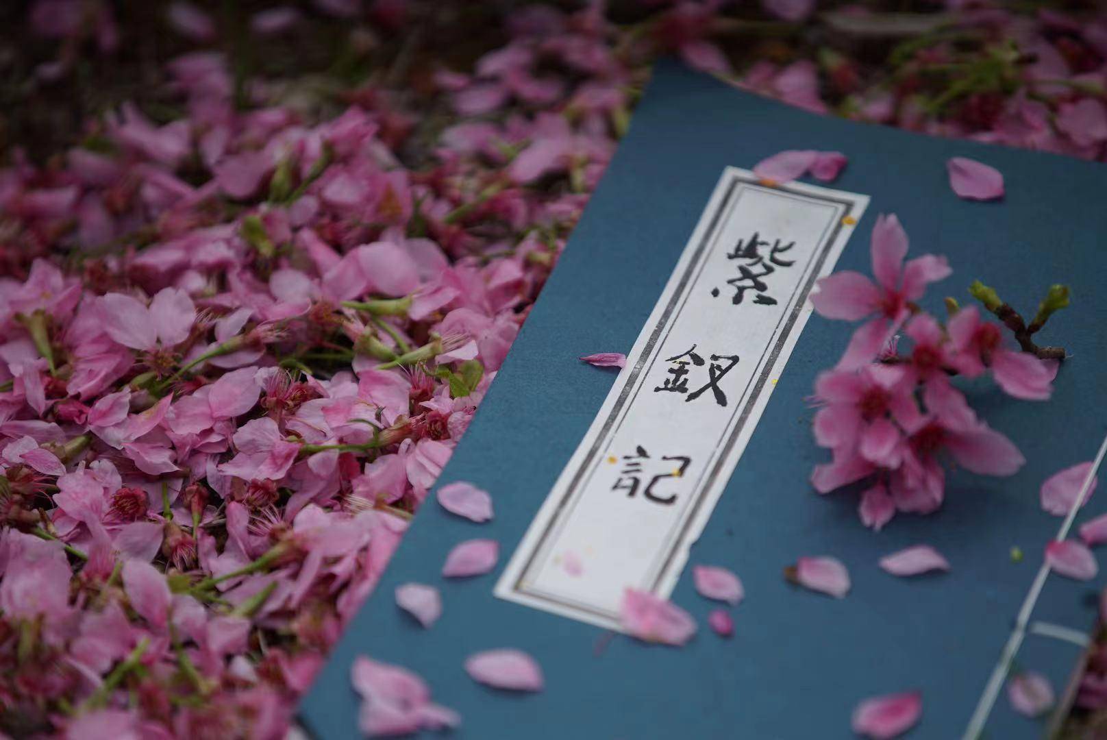 紫钗|广东首部音乐微电影《一梦·临川》完成