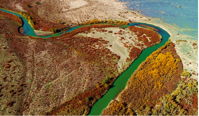 西北干枯湖泊河流正在复活,新疆正变为塞上江南?