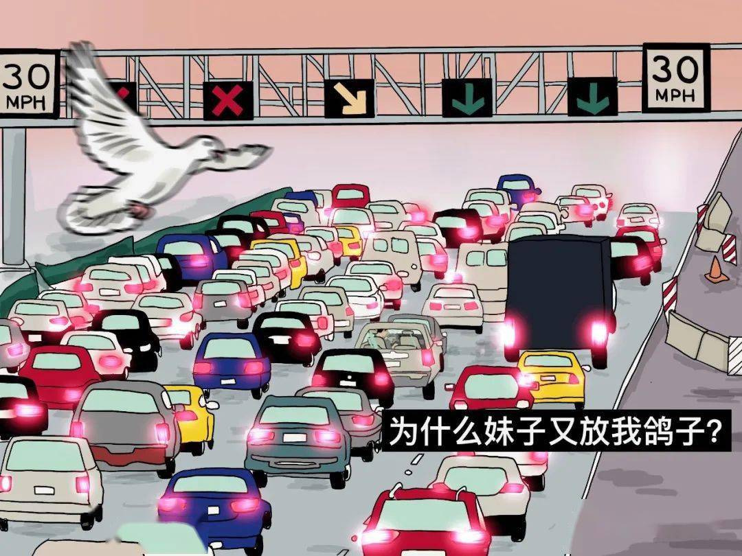 湾区中国码农图鉴我的骚操作你永远不懂