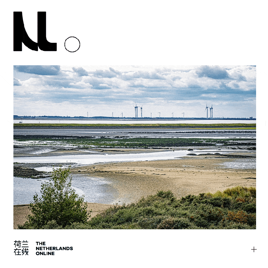 极端天气频发,荷式操作满满都是"求生欲"_荷兰