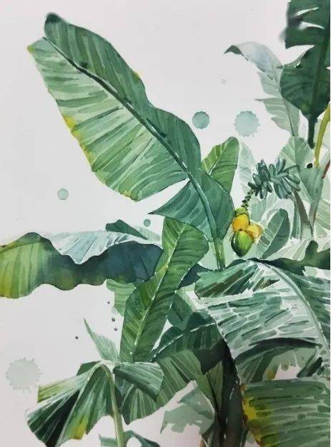 诗词里的古代生活巴女谣