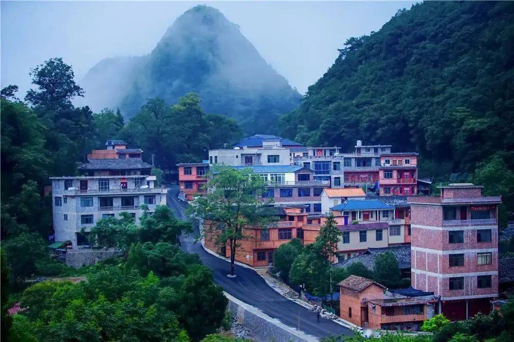 人民日报关注|广西乐业:乡亲们吃起"生态饭"_机械化