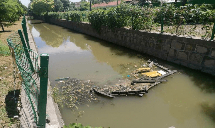 中南村兴盛河漂浮垃圾问题中南村兴盛河岸坡垃圾问题白莲村北港塘水生