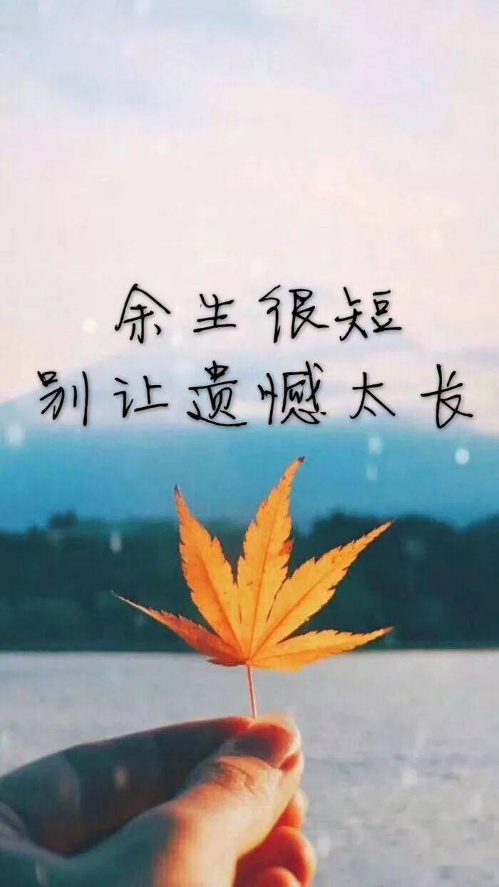 网图文字伤感图片