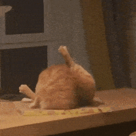 fb187bf79c5548e4b8daac5d2a27930f.gif