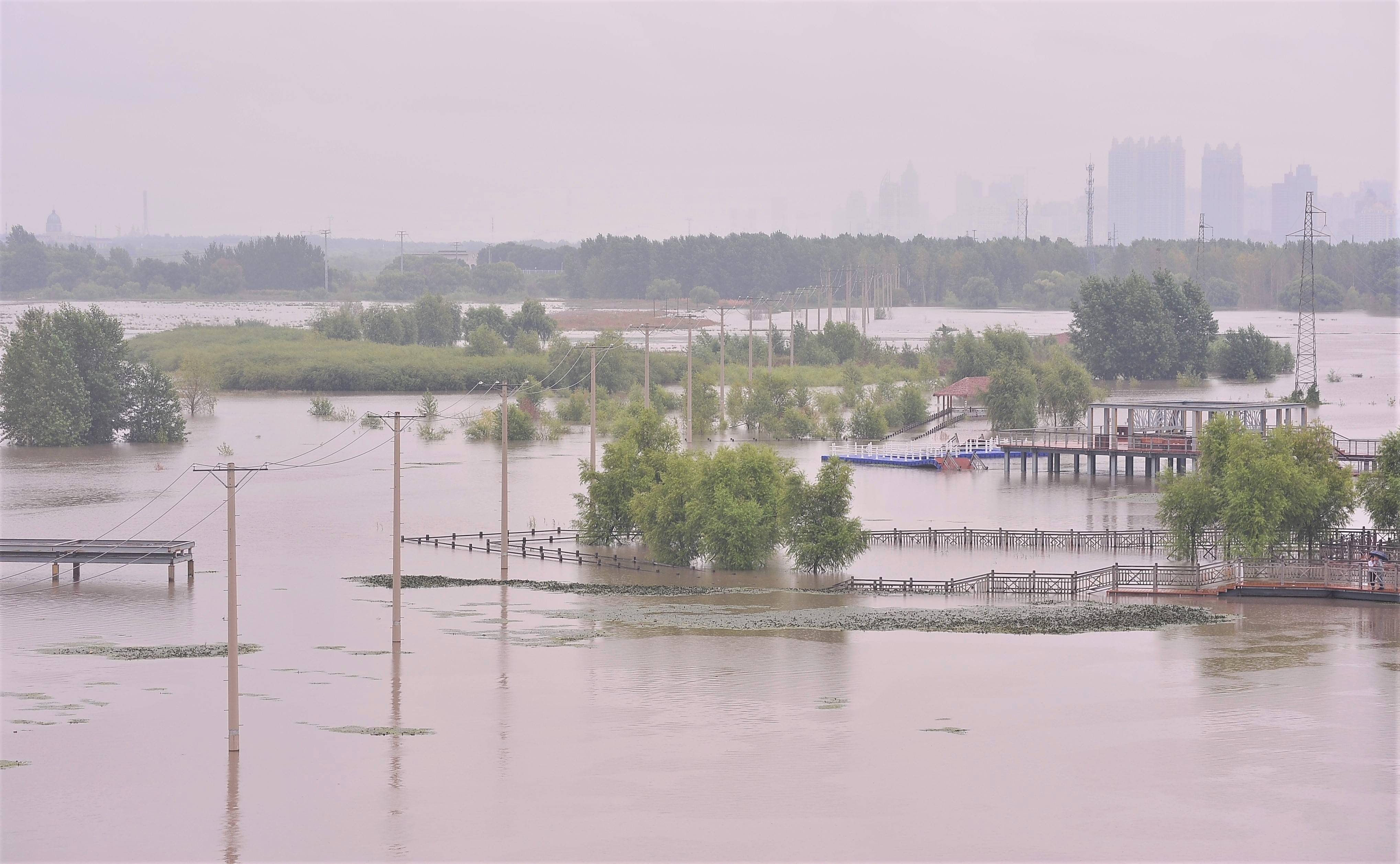 江水上涨并未给人们生活带来过多的影响,江边有一些市民在雨中散步