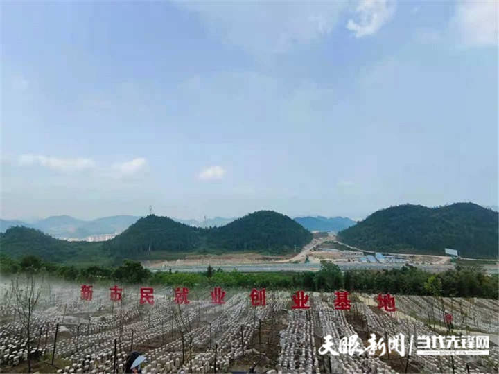 文章配图-3