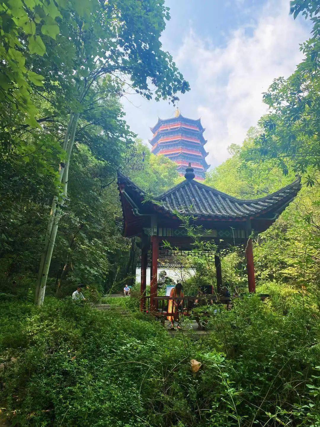 在抱石公园围观新余老人的生活