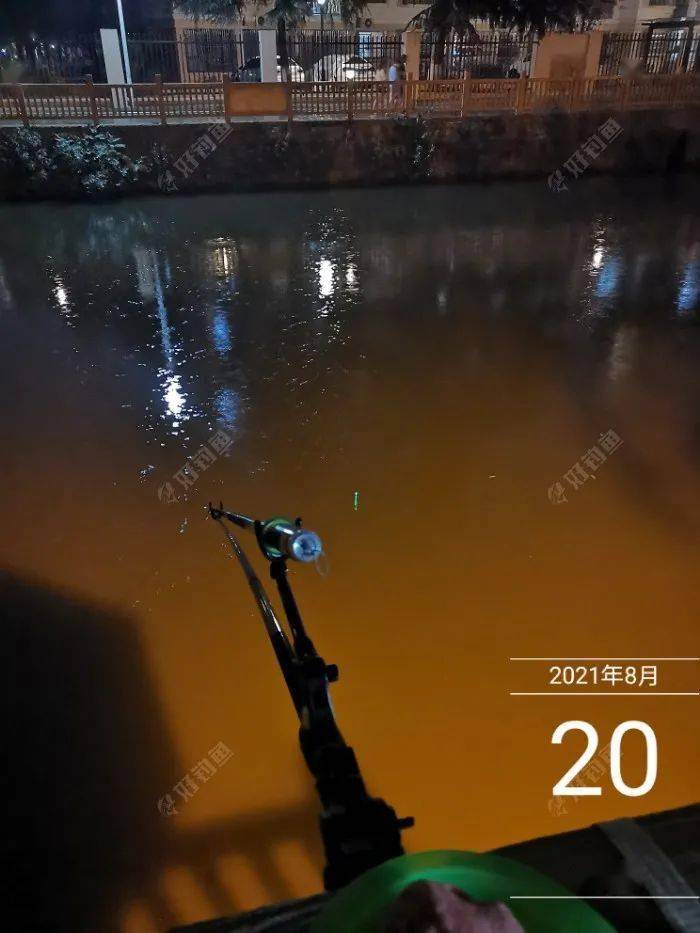 夜钓小雨中闷热汗淋漓