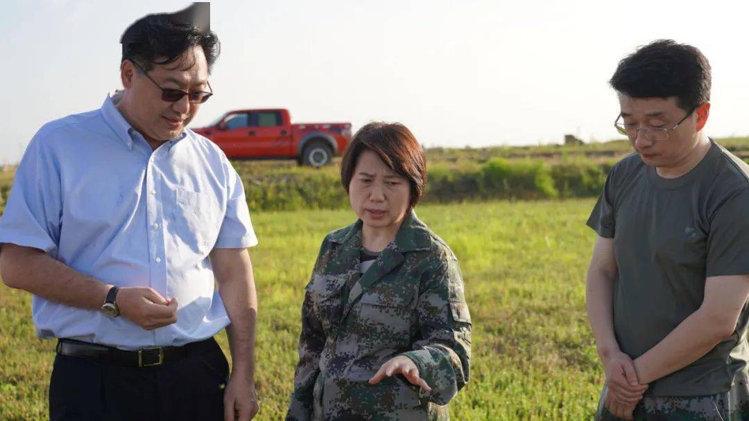 丛丽到抚远调研