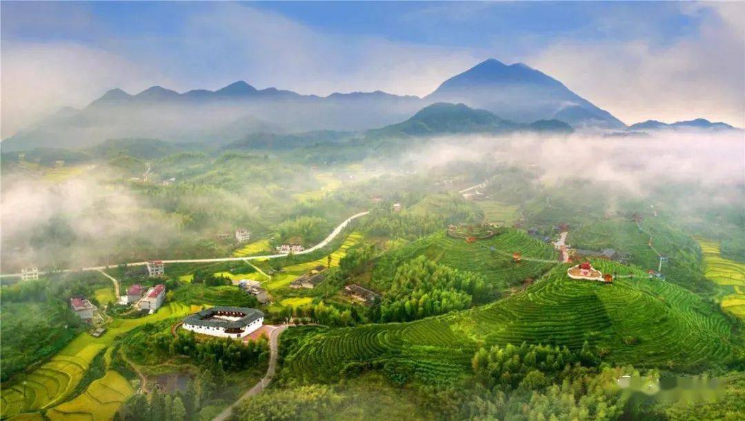 大田通过这个产业的专家论证!