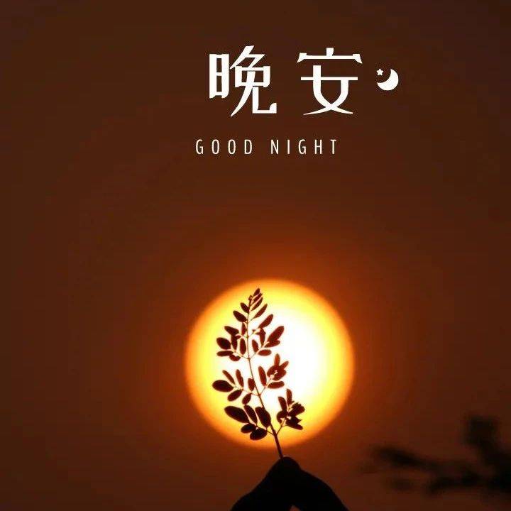 晚安治愈心语文案图片合集_事儿