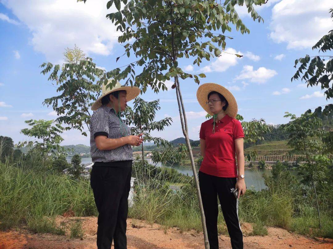 上犹县政府副县长提名人选刘艳开展林长制调研等工作