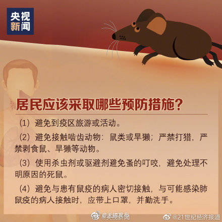 疫情|什么是鼠疫、如何预防鼠疫？