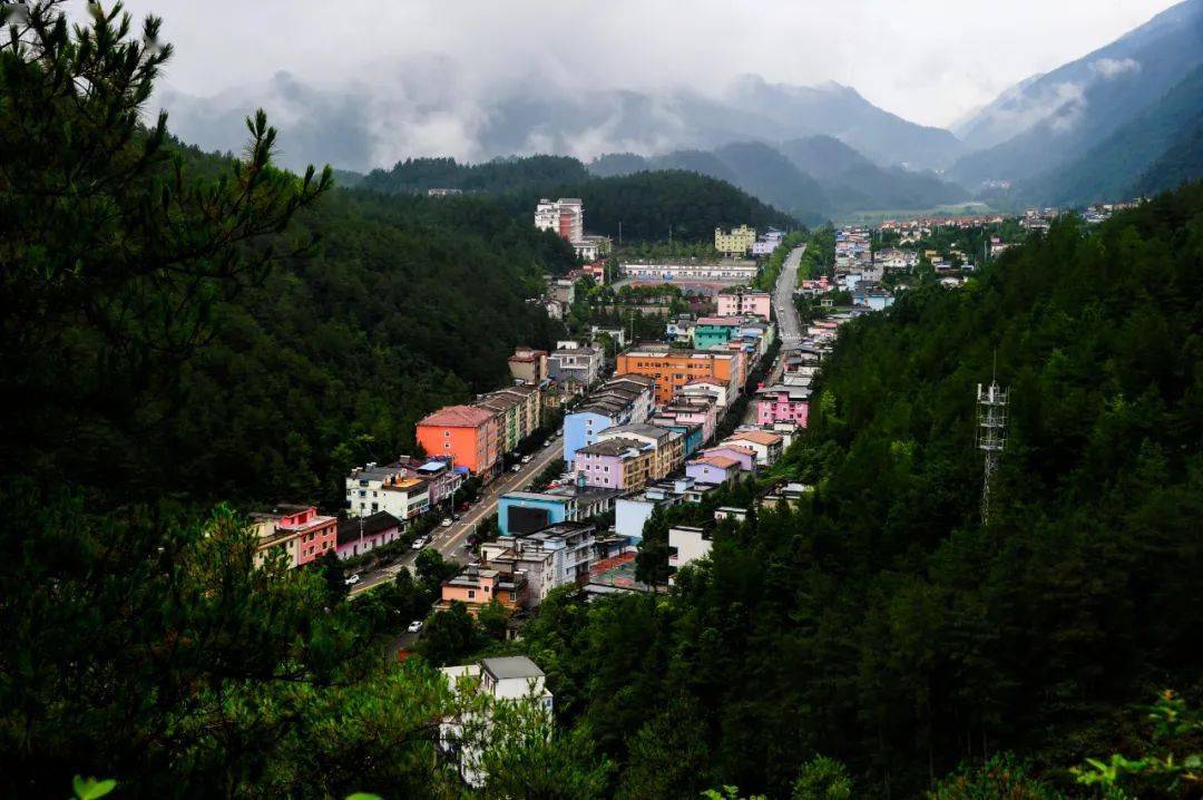 【走进乡村看小康】大木乡迎新社区:以花为媒 点亮乡村振兴引擎