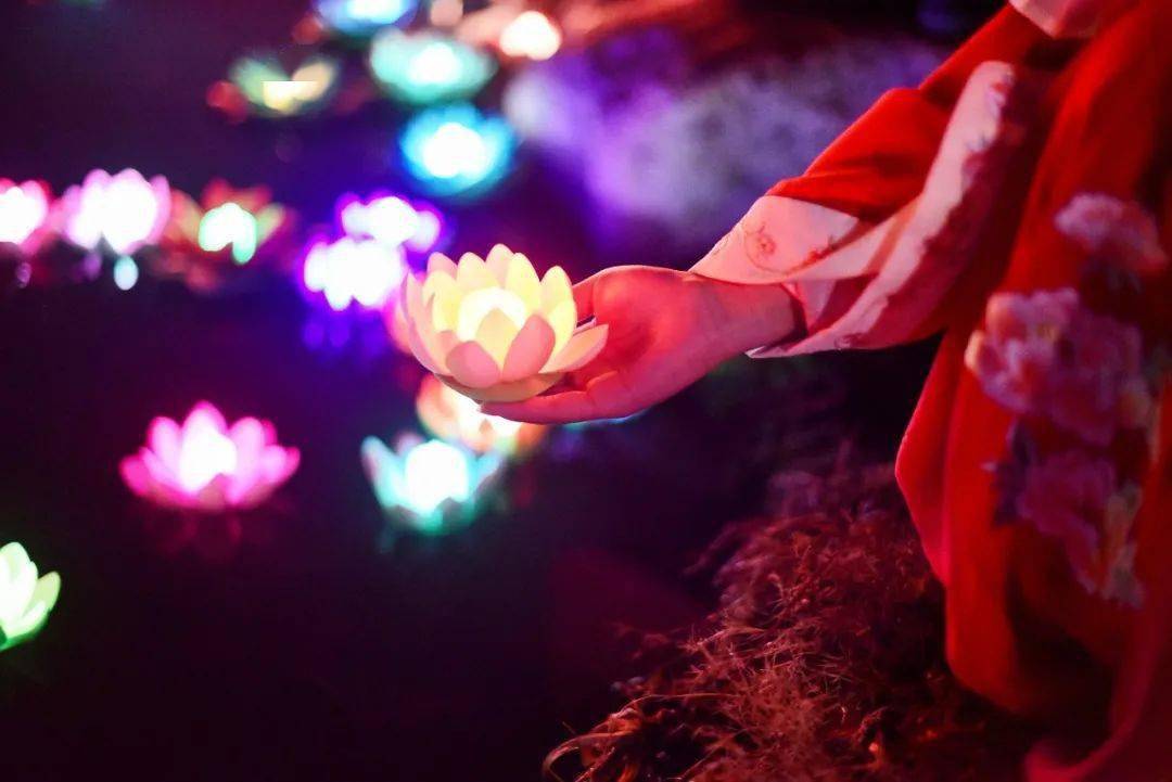 处暑丨最好不过是新凉.