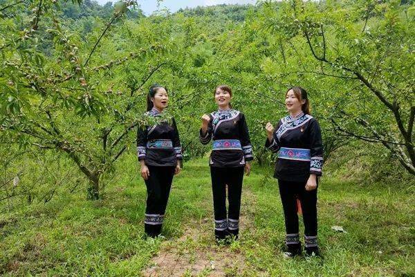 花样唱广西红色歌曲快闪视频秀精彩
