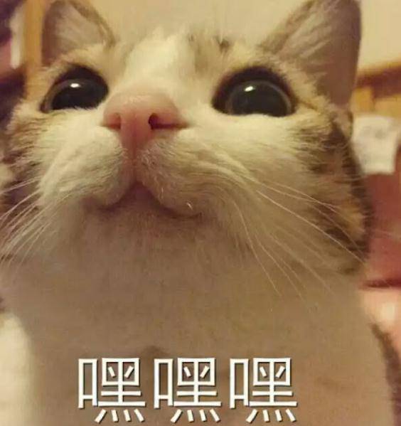 正事|人类无效沟通实录