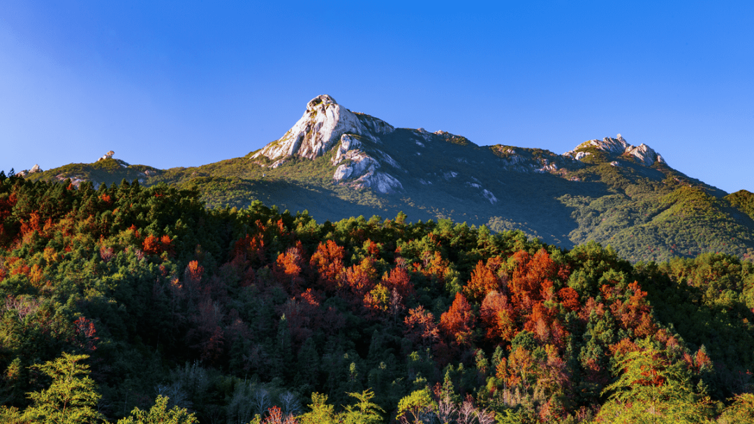 处暑淡云辞夏新凉迎秋
