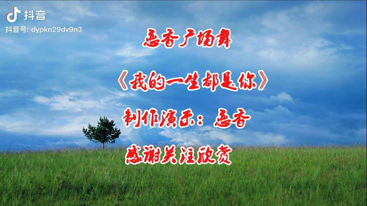 情歌dj广场舞我的一生都是你娓娓动听韵律优美简单更好看