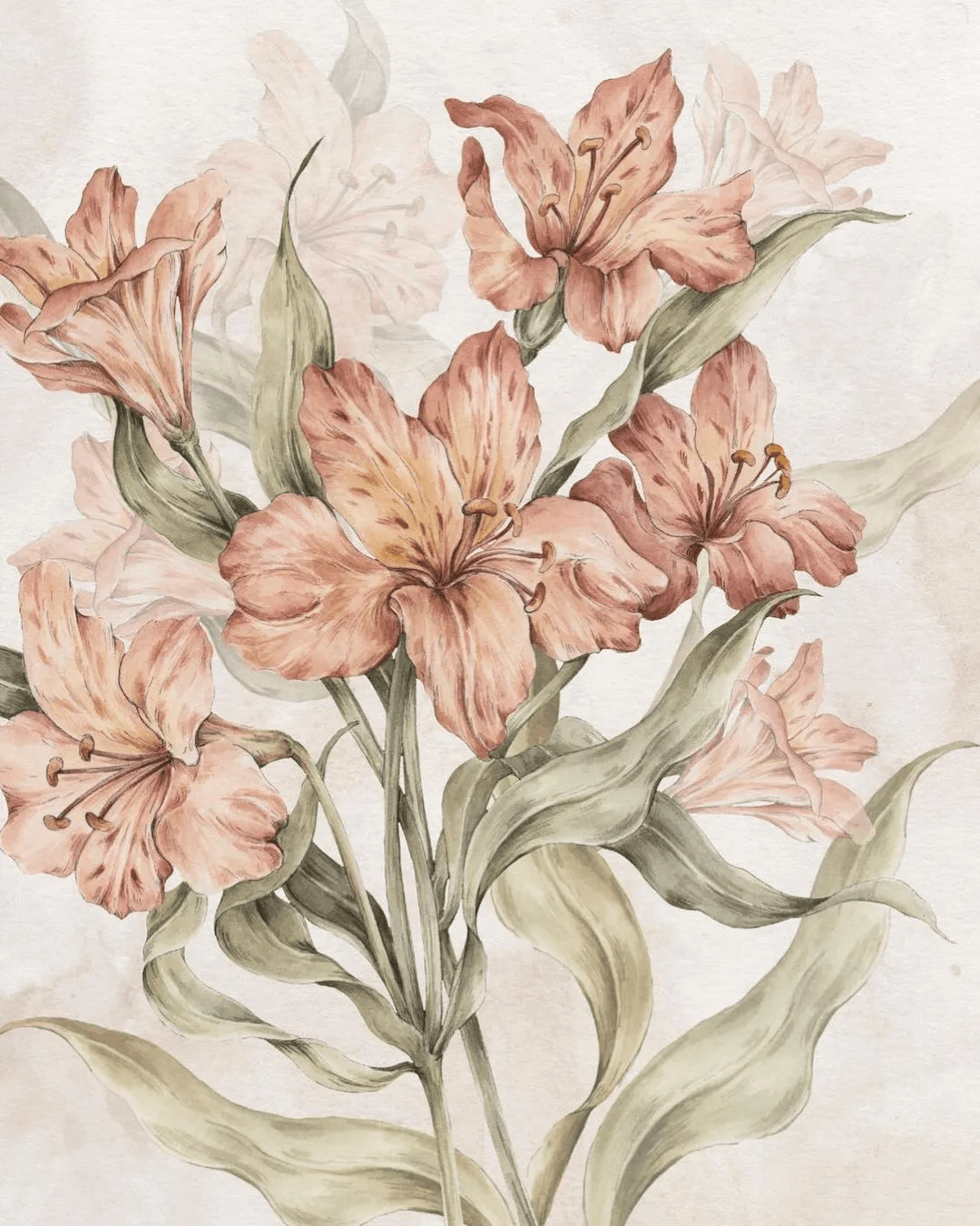 水彩大神笔下唯美复古的作品把无数人带进精致华丽的童话世界