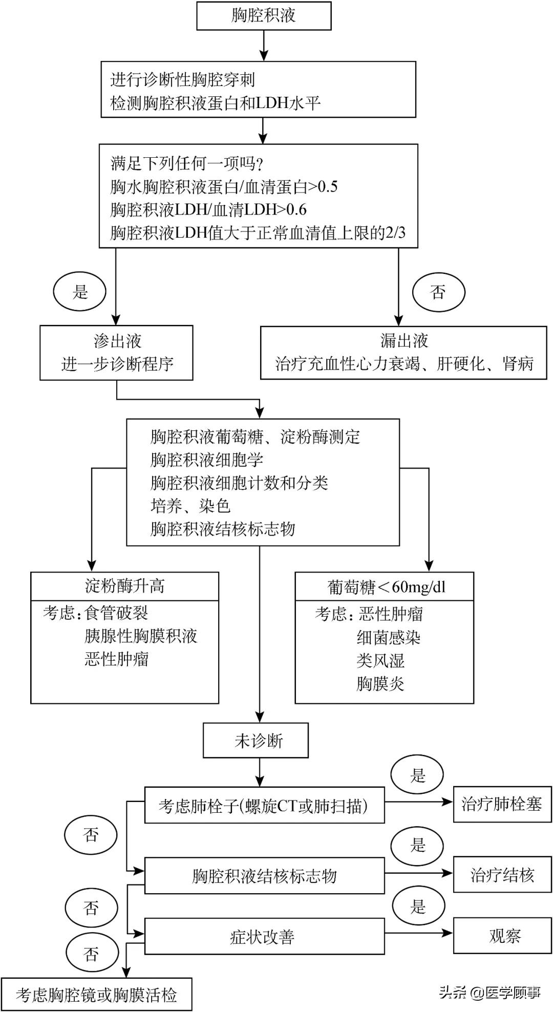 胸水鉴别图片