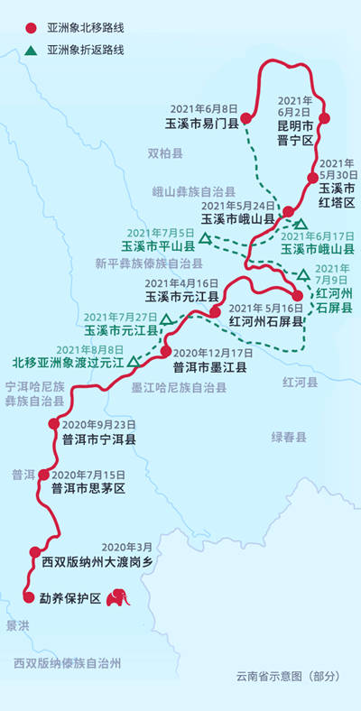 设计|在沉浸式体验新闻中，与“短鼻家族”一起旅行