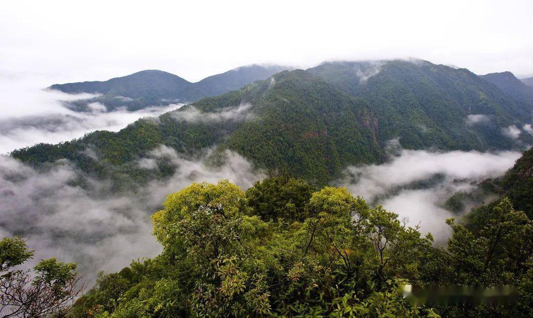 暑假倒計時您的安遠三百山旅遊福利未接收請速速查收