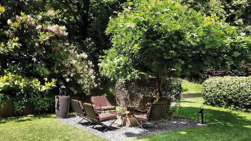 100��ͼ���������������ȫ��11�Ҷ����Ƶ�