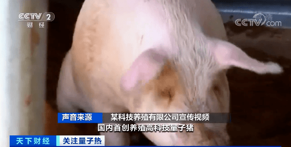量子|重要提醒！这类产品，都是虚假宣传