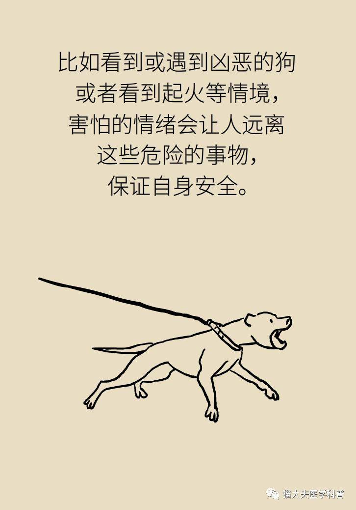 譜系|孩子怕黑不敢一個人睡，是心理有問題嗎？