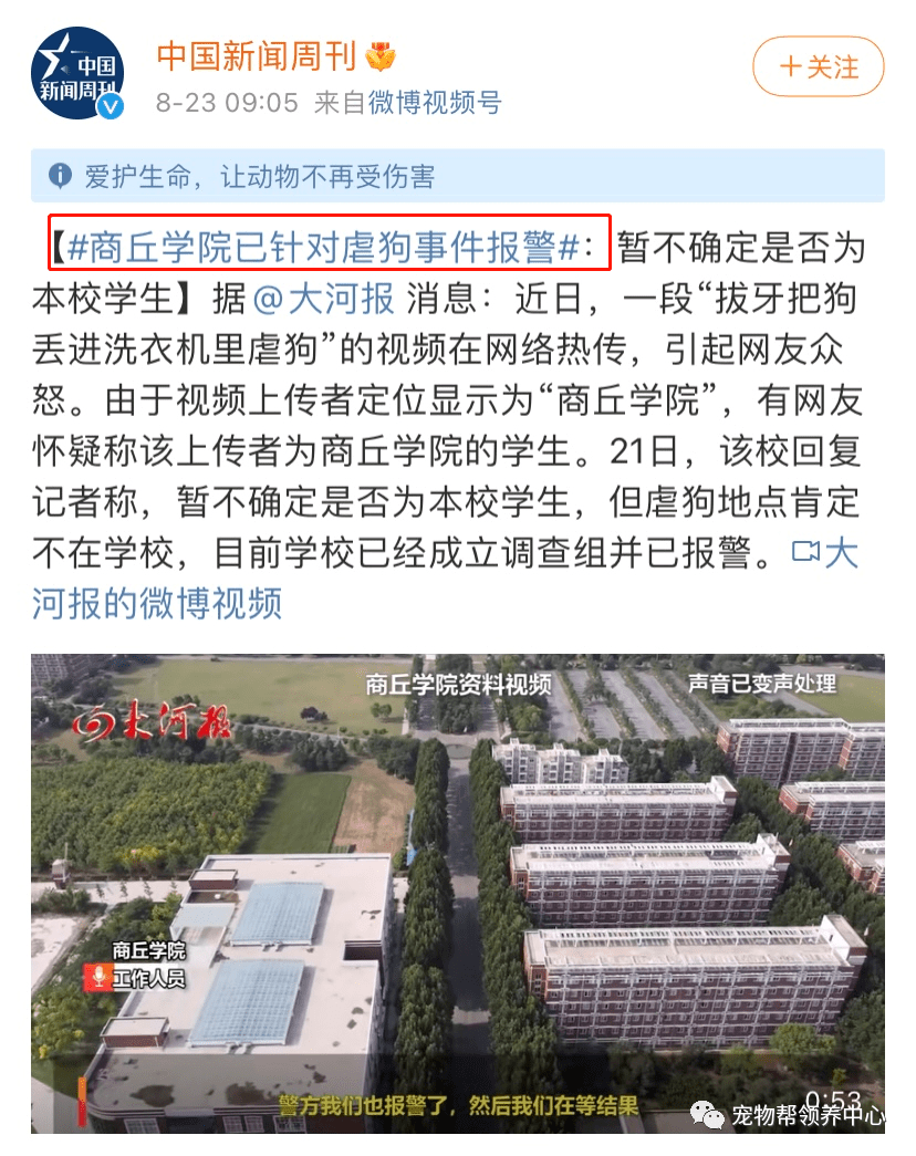 李某阳|洗衣机柯基终于找到,还活着!可还是留给了施虐者养……