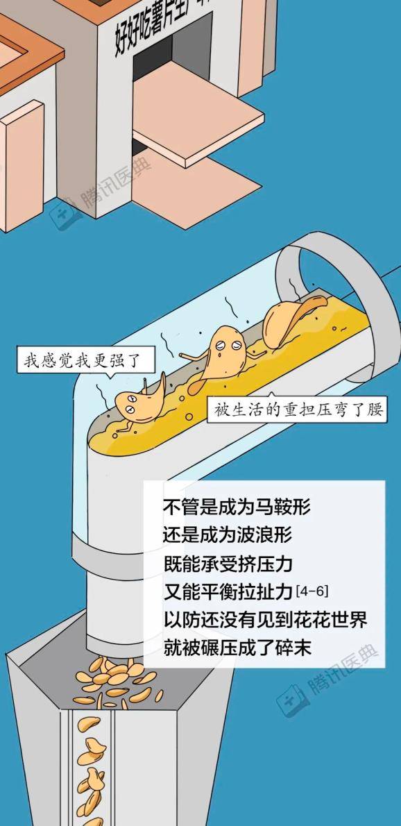 韓冬梅|方便面為什么是彎的？5個食物冷知識，很多人不知道