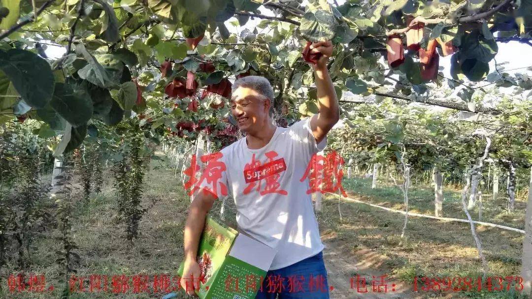 `周至县果业局副局长陈刚科,周至县副县长王硕,临潼区清水沟农业专业