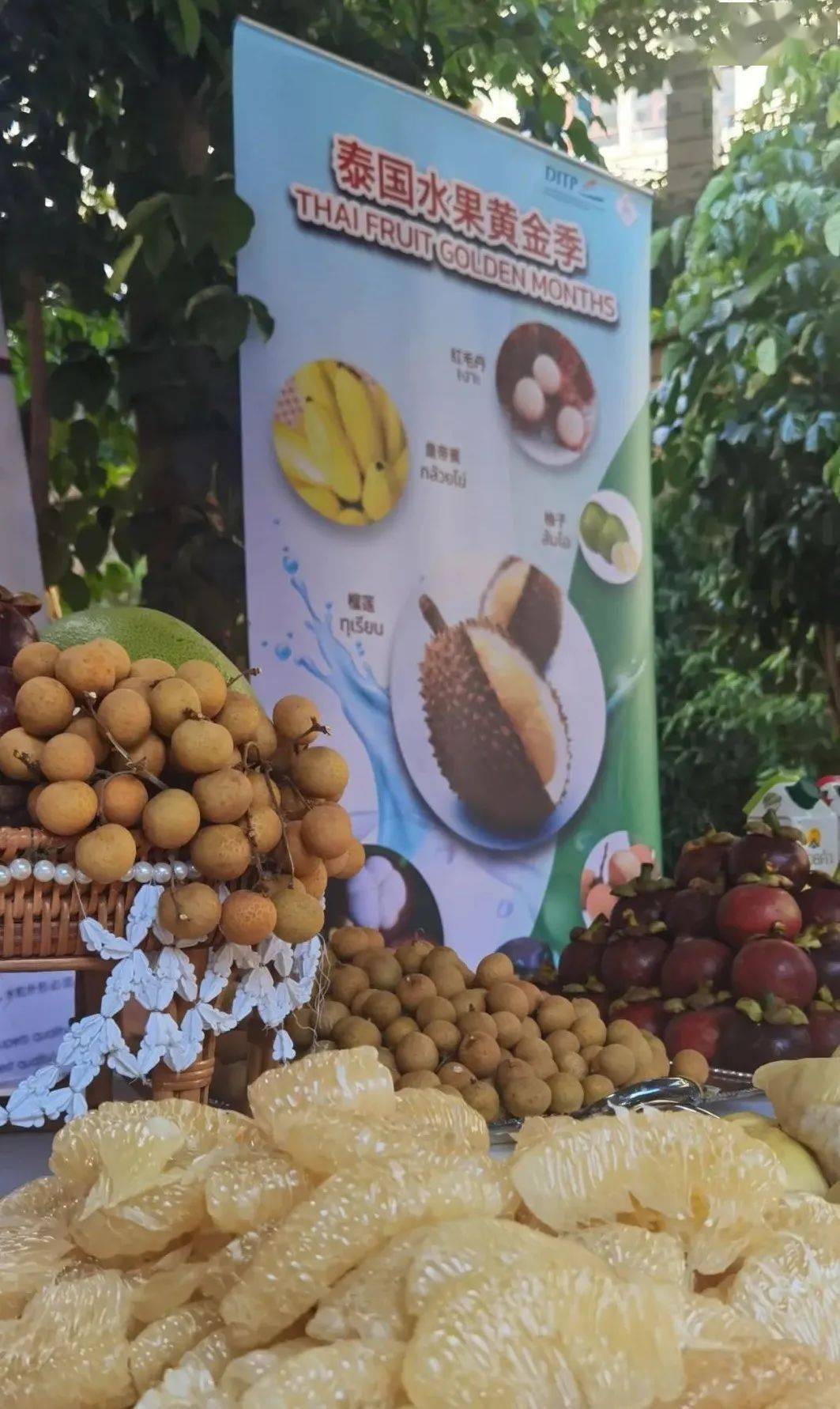 云南一直以来就是泰国出口食品类产品的重要市场.