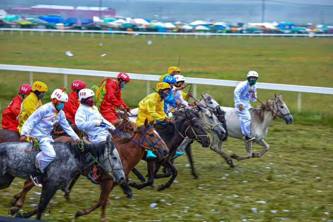 振笔骥书格萨尔王的坐骑河曲马