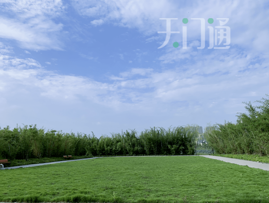 天门北湖传出消息…_北湖公园