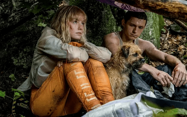 托德·赫维特|由内而外！这片把荷兰弟“扒了精光”！