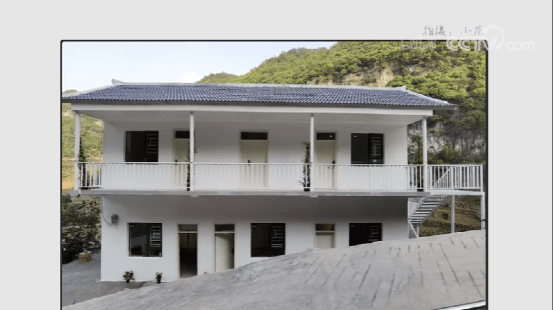 油漆|顶级天团一出手，8月国综都黯然失色