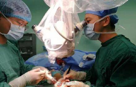 手术|四川运用疫苗冷链技术成功实施断掌再植手术