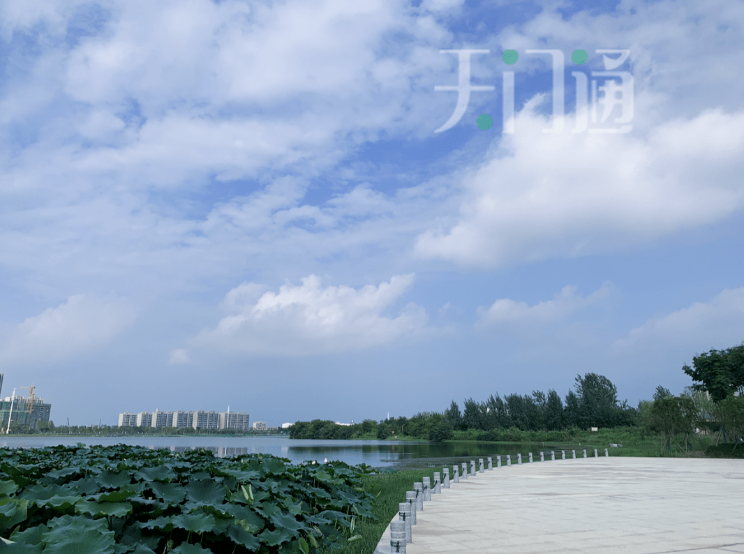 天门北湖传出消息…_北湖公园