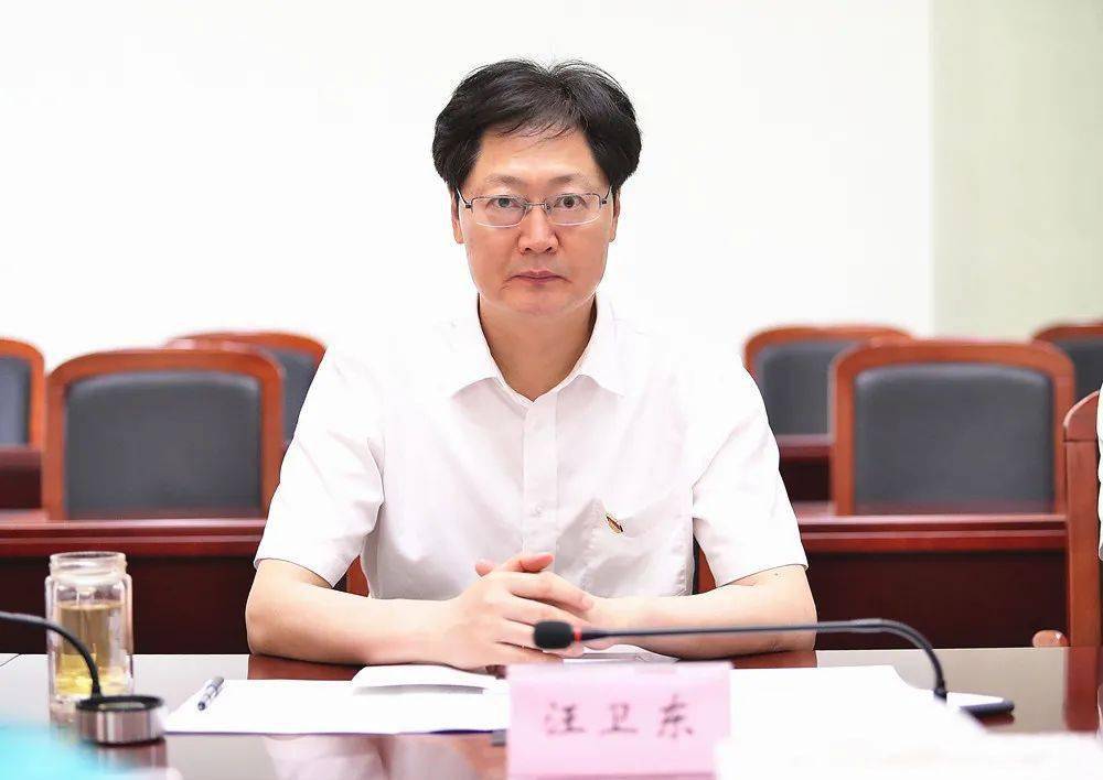 更加坚定弘扬伟大建党精神 在服务大局中担当职责使命 汪卫东参加所在