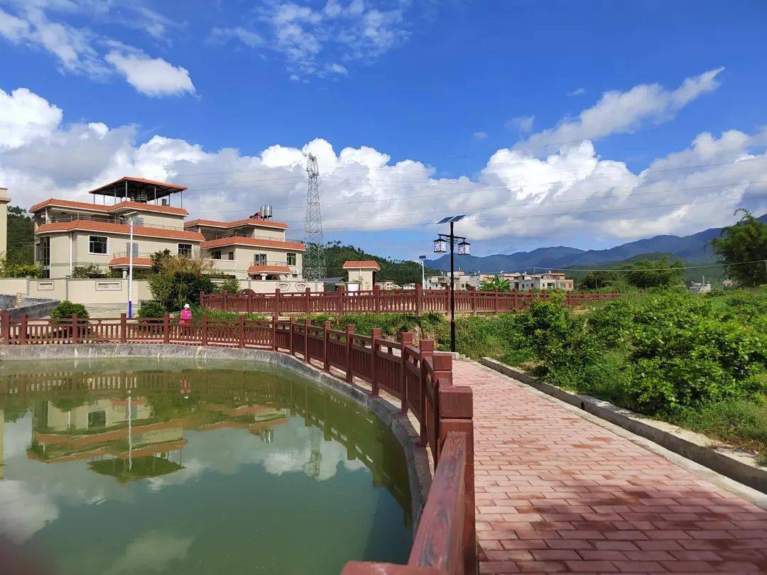 连平县乡村振兴现场会走进元善镇全力推动乡村振兴由点上出彩向全面