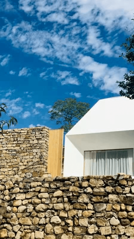 首创集团丨"50公里桃花坞"飘香!