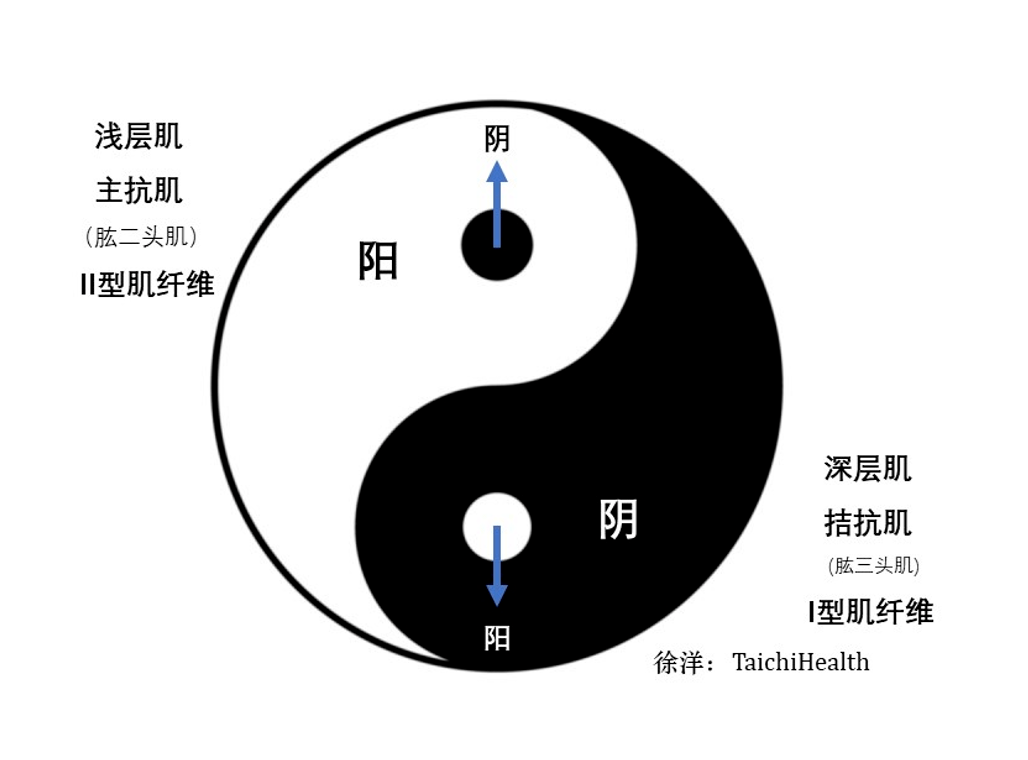 太极能量平衡图图片