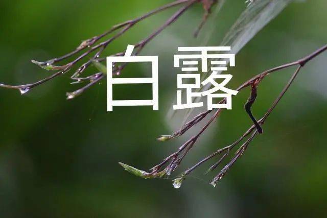 140ec6635db54f66b8132b60a5d0688b.jpeg