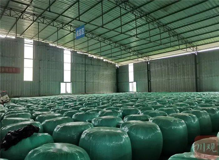 大竹县|川渝合作田间探路：农田里的这些新技术值得关注