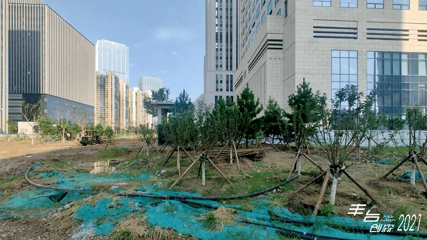 丰台丽泽金融商务区两大新建公园绿地最新进展